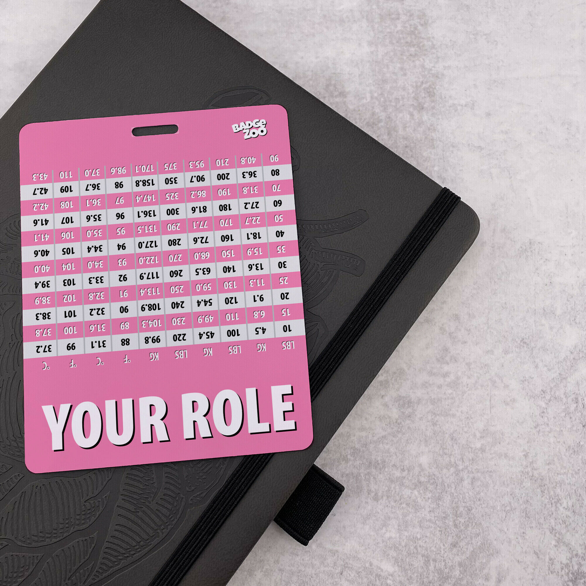 Weight, Height and Temperature Conversion Badge Buddy